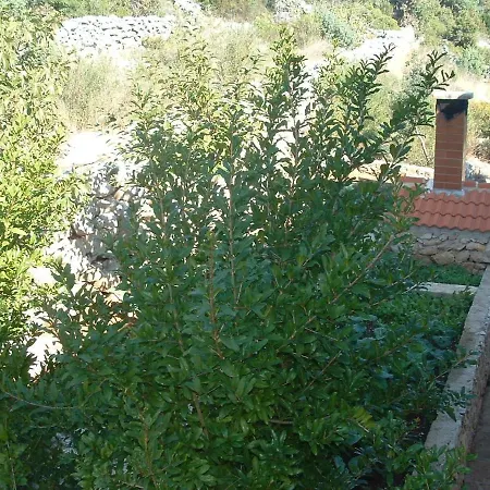 Ante - Perfect Sea View Apartamento